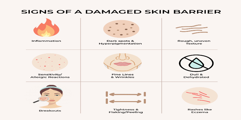 signs of skin barrier damaged