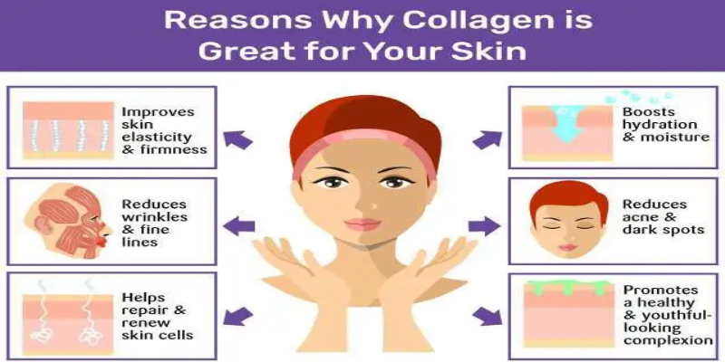 Collagen necessary for skin