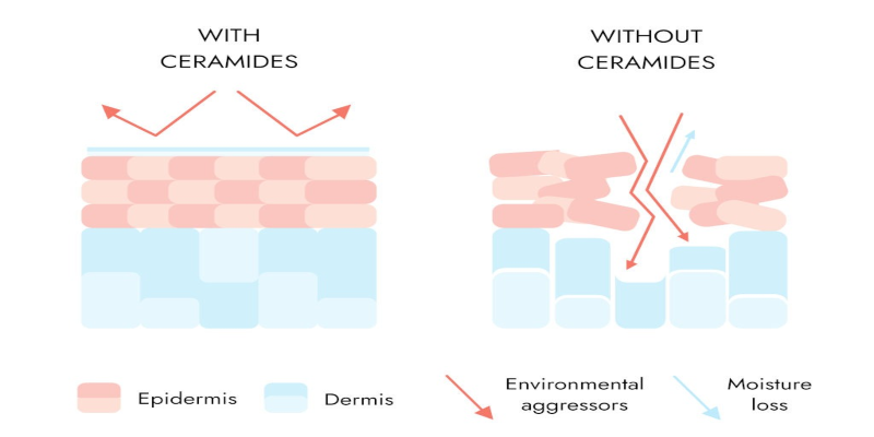 Ceramide for radiant skin